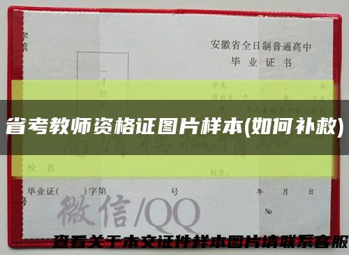 省考教师资格证图片样本(如何补救)缩略图