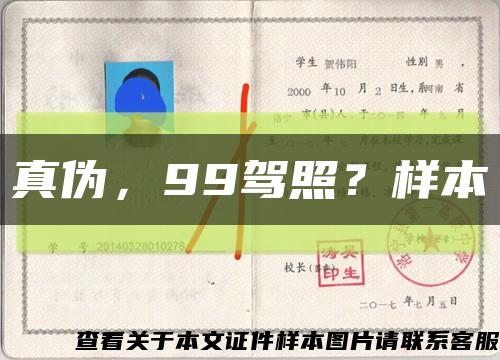 真伪，99驾照？样本缩略图