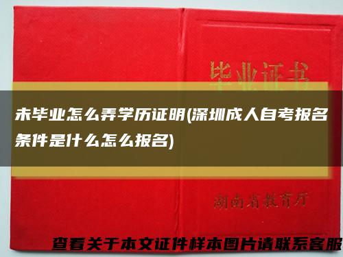 未毕业怎么弄学历证明(深圳成人自考报名条件是什么怎么报名)缩略图