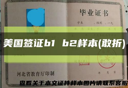 美国签证b1 b2样本(敢折)缩略图