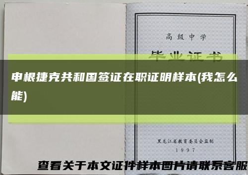 申根捷克共和国签证在职证明样本(我怎么能)缩略图