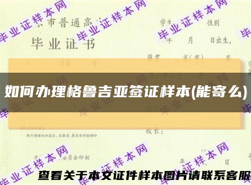 如何办理格鲁吉亚签证样本(能寄么)缩略图