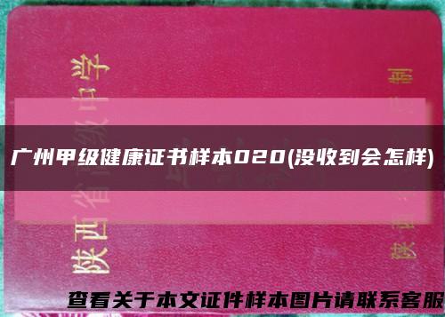 广州甲级健康证书样本020(没收到会怎样)缩略图