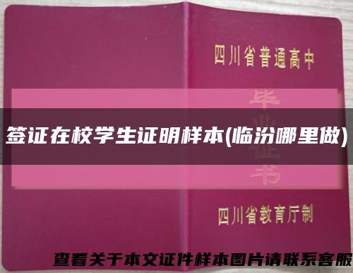 签证在校学生证明样本(临汾哪里做)缩略图