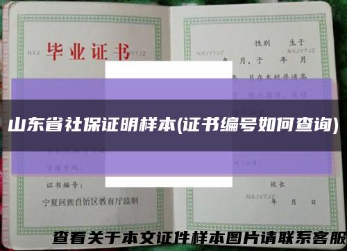 山东省社保证明样本(证书编号如何查询)缩略图