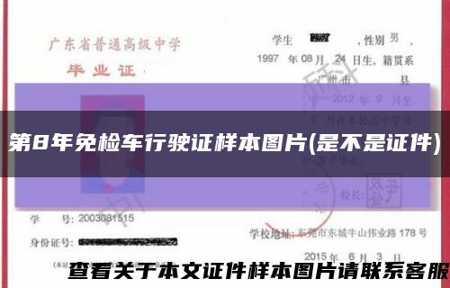 第8年免检车行驶证样本图片(是不是证件)缩略图