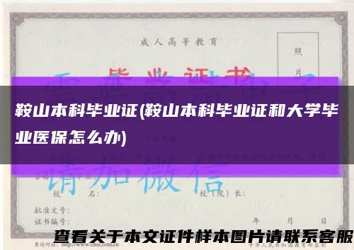 鞍山本科毕业证(鞍山本科毕业证和大学毕业医保怎么办)缩略图