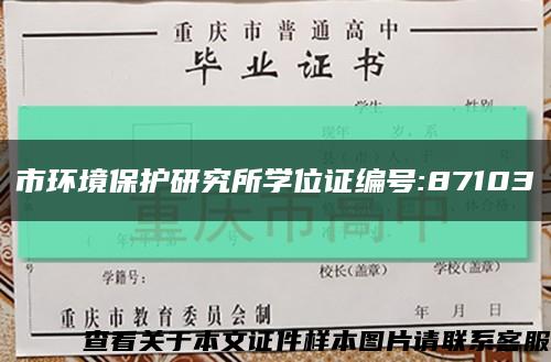 市环境保护研究所学位证编号:87103缩略图