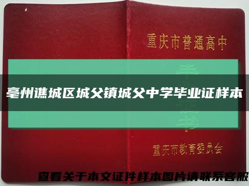 亳州谯城区城父镇城父中学毕业证样本缩略图