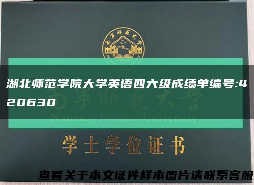 湖北师范学院大学英语四六级成绩单编号:420630缩略图