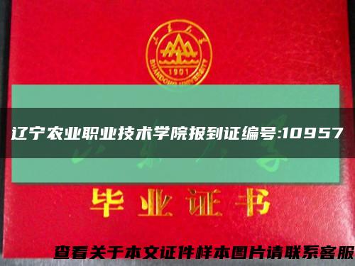 辽宁农业职业技术学院报到证编号:10957缩略图