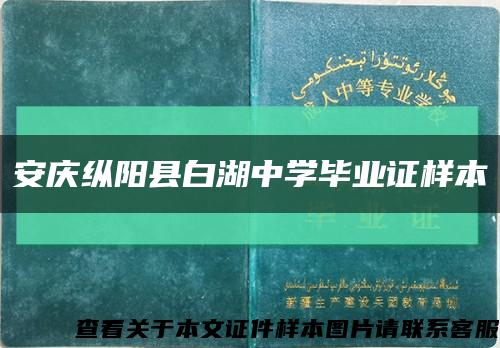 安庆纵阳县白湖中学毕业证样本缩略图