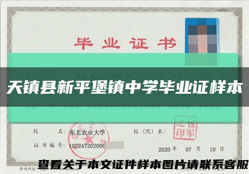 天镇县新平堡镇中学毕业证样本缩略图