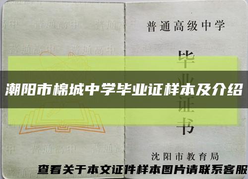 潮阳市棉城中学毕业证样本及介绍缩略图