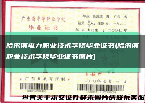 哈尔滨电力职业技术学院毕业证书(哈尔滨职业技术学院毕业证书图片)缩略图