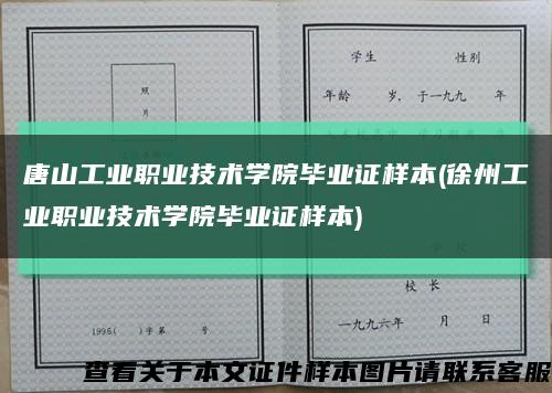 唐山工业职业技术学院毕业证样本(徐州工业职业技术学院毕业证样本)缩略图