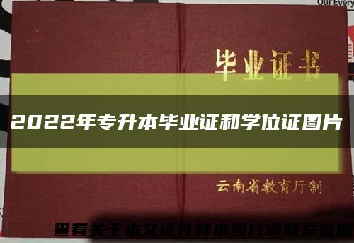 2022年专升本毕业证和学位证图片缩略图