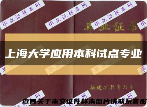 上海大学应用本科试点专业缩略图