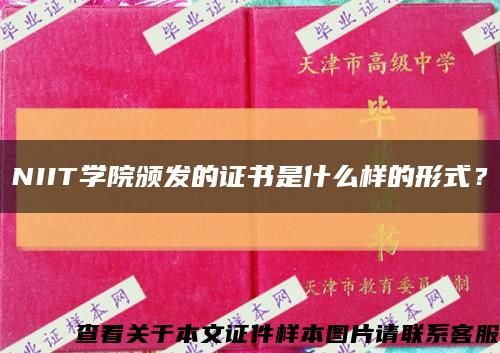 NIIT学院颁发的证书是什么样的形式？缩略图