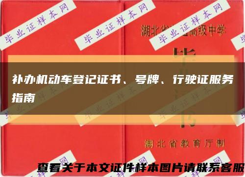 补办机动车登记证书、号牌、行驶证服务指南缩略图