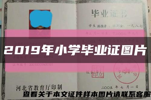 2019年小学毕业证图片缩略图