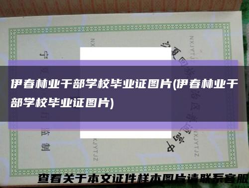 伊春林业干部学校毕业证图片(伊春林业干部学校毕业证图片)缩略图