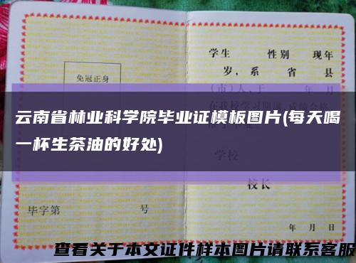 云南省林业科学院毕业证模板图片(每天喝一杯生茶油的好处)缩略图