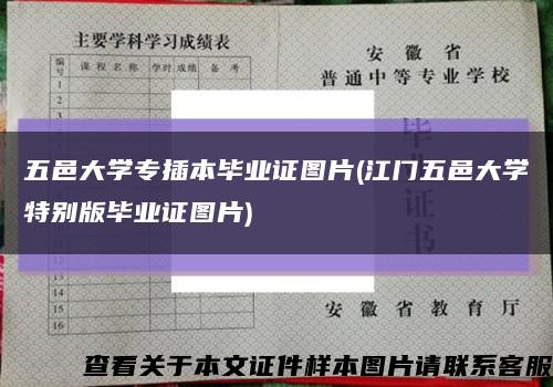 五邑大学专插本毕业证图片(江门五邑大学特别版毕业证图片)缩略图