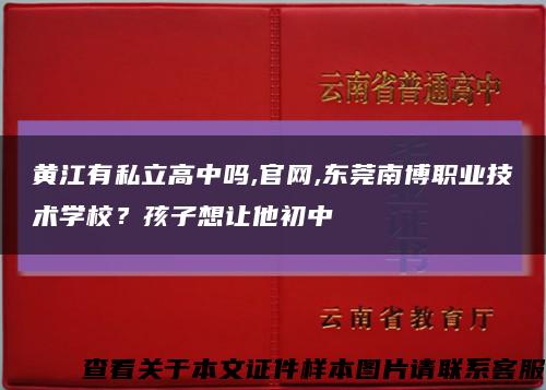 黄江有私立高中吗,官网,东莞南博职业技术学校？孩子想让他初中缩略图