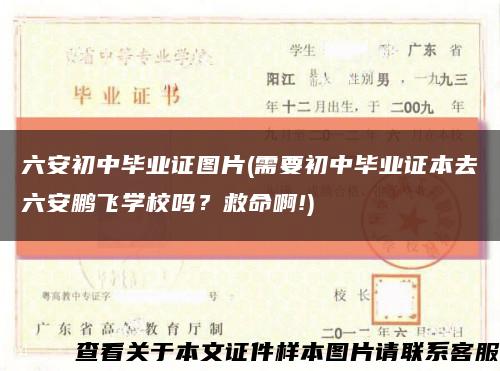 六安初中毕业证图片(需要初中毕业证本去六安鹏飞学校吗？救命啊!)缩略图