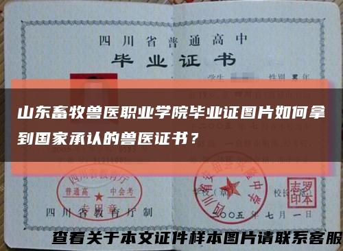 山东畜牧兽医职业学院毕业证图片如何拿到国家承认的兽医证书？缩略图