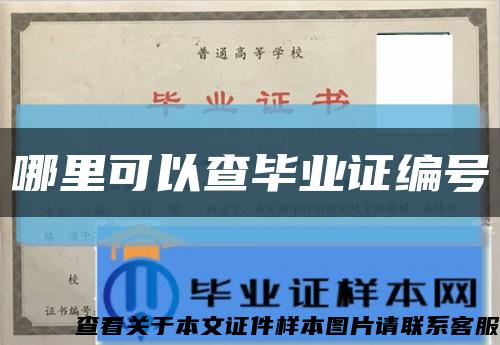 哪里可以查毕业证编号缩略图