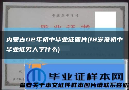 内蒙古02年初中毕业证图片(18岁没初中毕业证男人学什么)缩略图