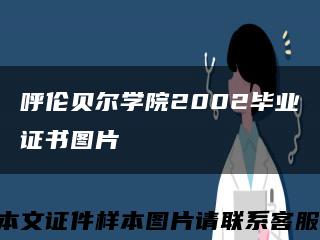 呼伦贝尔学院2002毕业证书图片缩略图