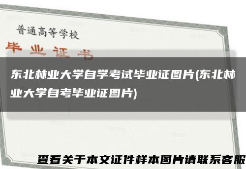 东北林业大学自学考试毕业证图片(东北林业大学自考毕业证图片)缩略图