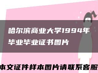 哈尔滨商业大学1994年毕业毕业证书图片缩略图