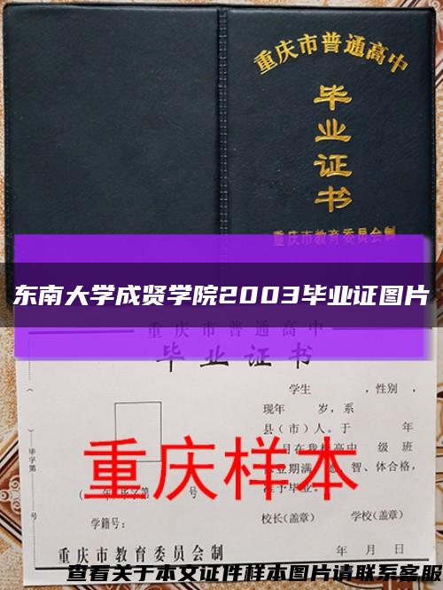 东南大学成贤学院2003毕业证图片缩略图