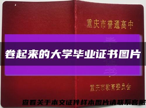 卷起来的大学毕业证书图片缩略图