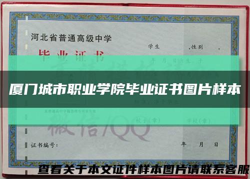 厦门城市职业学院毕业证书图片样本缩略图