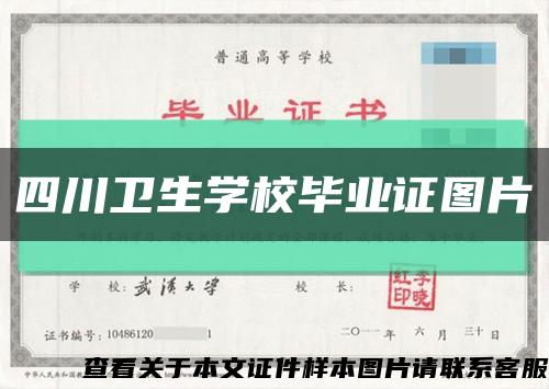 四川卫生学校毕业证图片缩略图