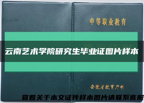 云南艺术学院研究生毕业证图片样本缩略图