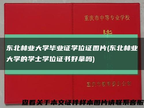 东北林业大学毕业证学位证图片(东北林业大学的学士学位证书好拿吗)缩略图