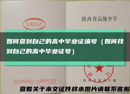 如何查到自己的高中毕业证编号（如何找到自己的高中毕业证号）缩略图