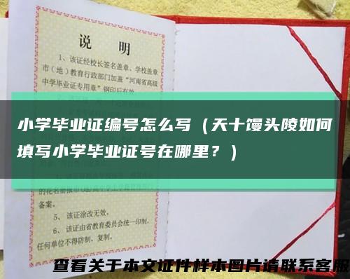 小学毕业证编号怎么写（天十馒头陵如何填写小学毕业证号在哪里？）缩略图