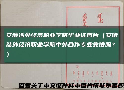 安徽涉外经济职业学院毕业证图片（安徽涉外经济职业学院中外合作专业靠谱吗？）缩略图