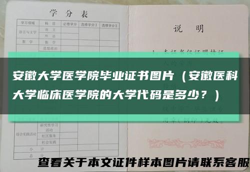 安徽大学医学院毕业证书图片（安徽医科大学临床医学院的大学代码是多少？）缩略图