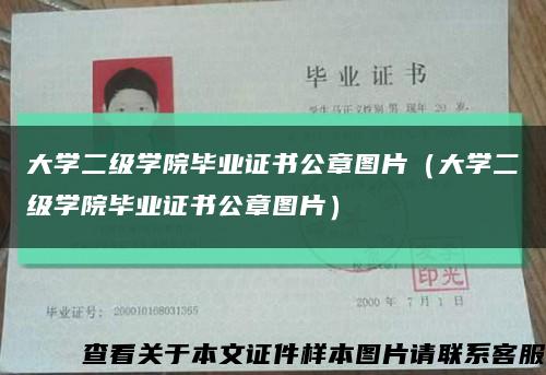 大学二级学院毕业证书公章图片（大学二级学院毕业证书公章图片）缩略图