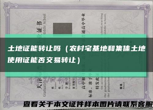 土地证能转让吗（农村宅基地和集体土地使用证能否交易转让）缩略图