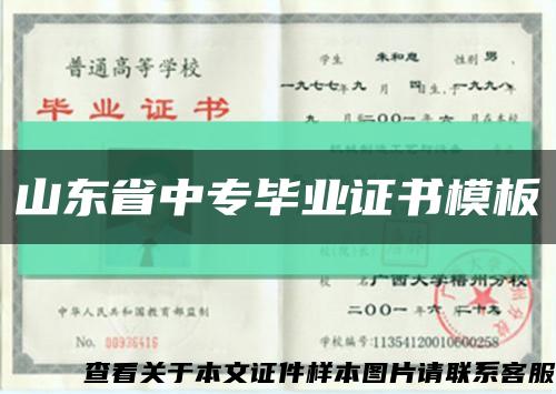 山东省中专毕业证书模板缩略图