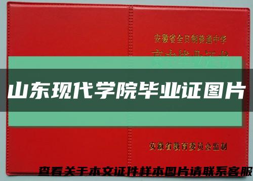 山东现代学院毕业证图片缩略图